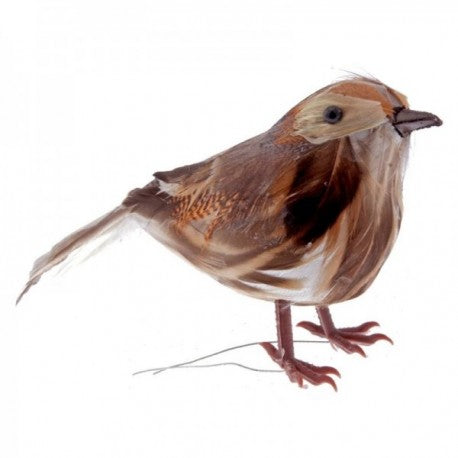 13cm Long Feathered Thrush Bird , 6 per box